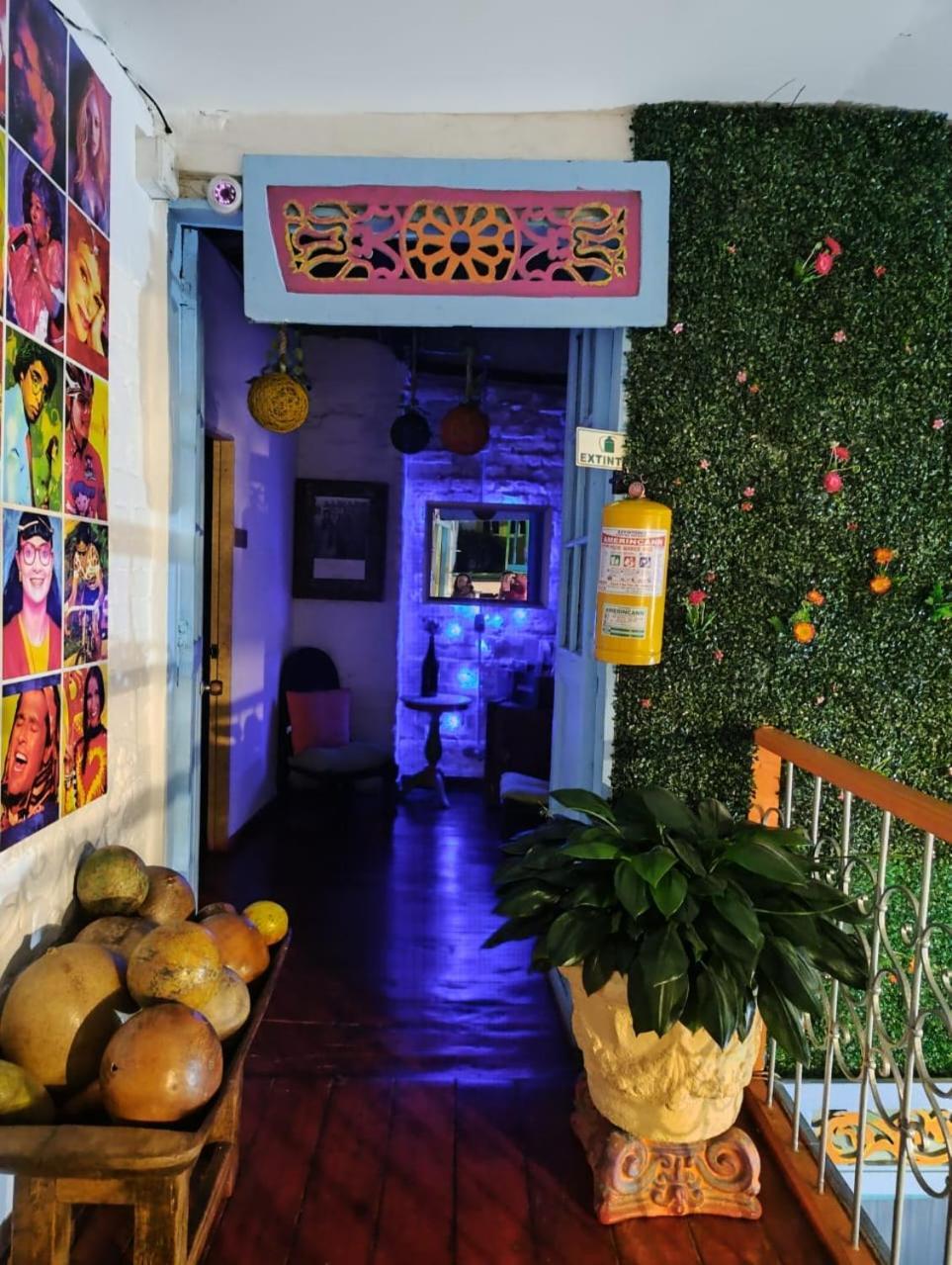 Lima Limon Guest house